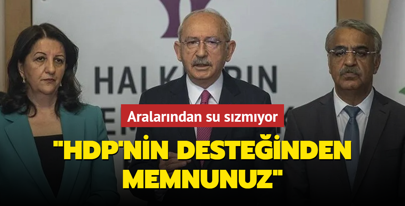 Aralarndan su szmyor: HDP'nin desteinden memnunuz