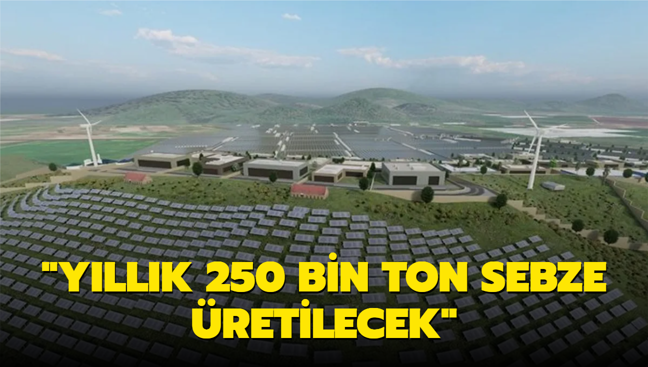 Bakan Kirici'den Sera OSB projesi paylam: Yllk 250 bin ton sebze retilecek