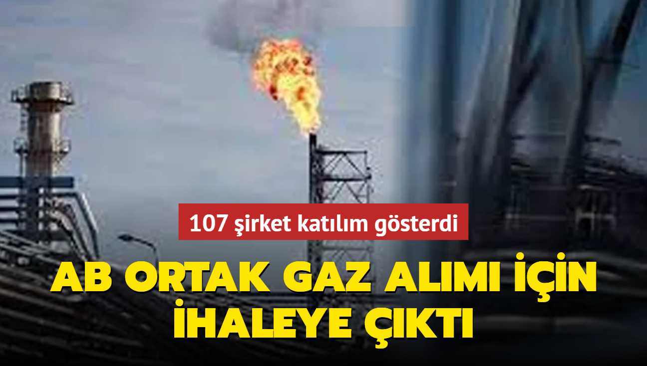 AB ortak gaz alm iin ihaleye kt... 107 irket katlm gsterdi