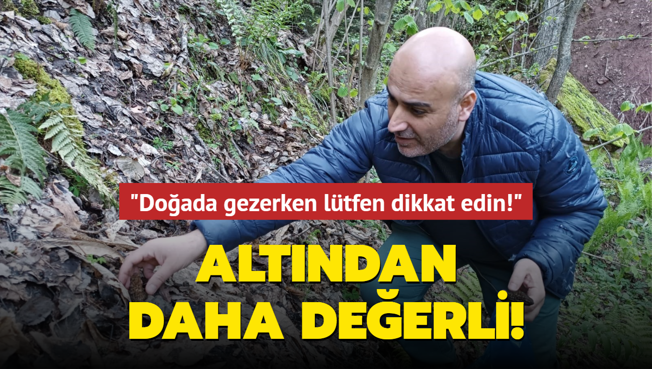 Altndan daha deerli: Doada gezerken ltfen dikkat ediniz!