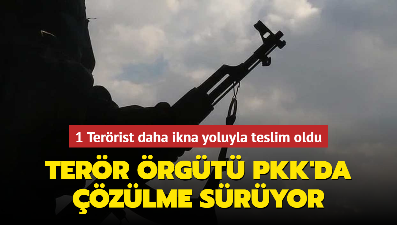 1 Terrist daha ikna yoluyla teslim oldu... Terr rgt PKK'da zlme sryor