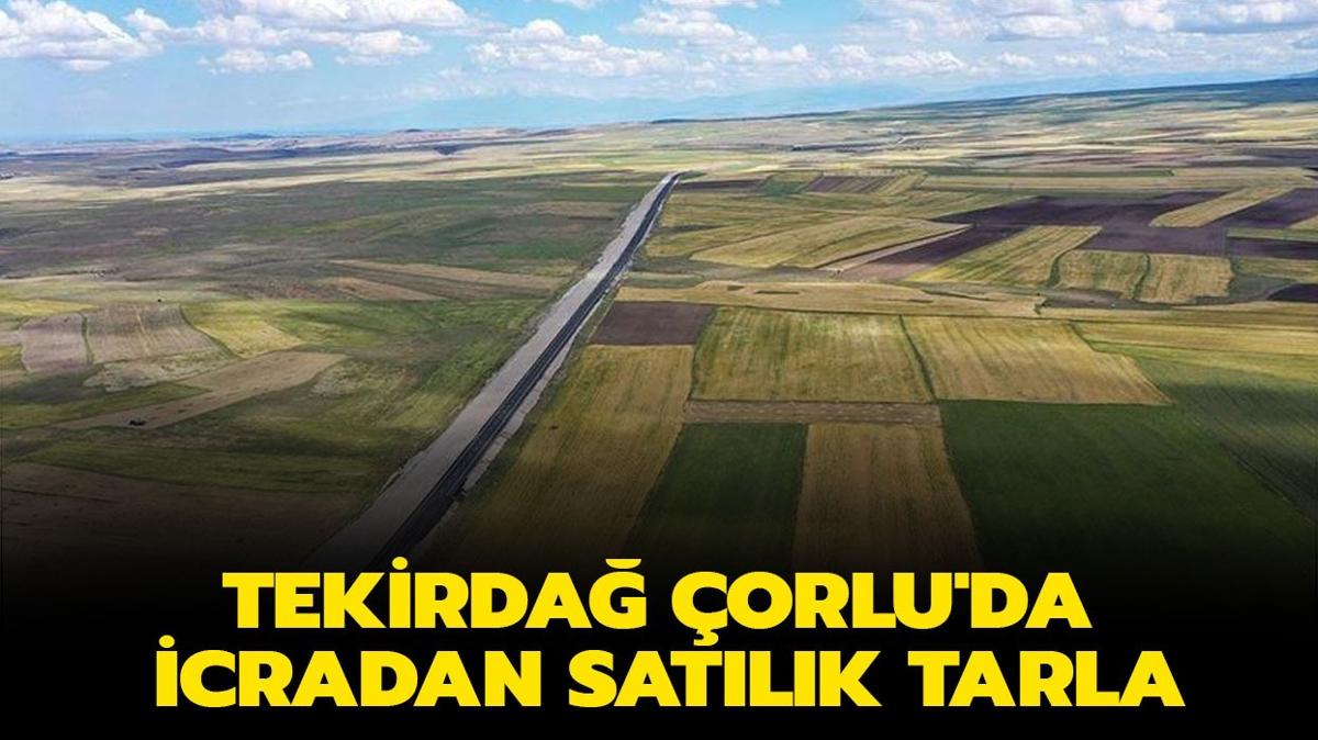 Tekirda orlu'da icradan satlk 19.429 m2 tarla!