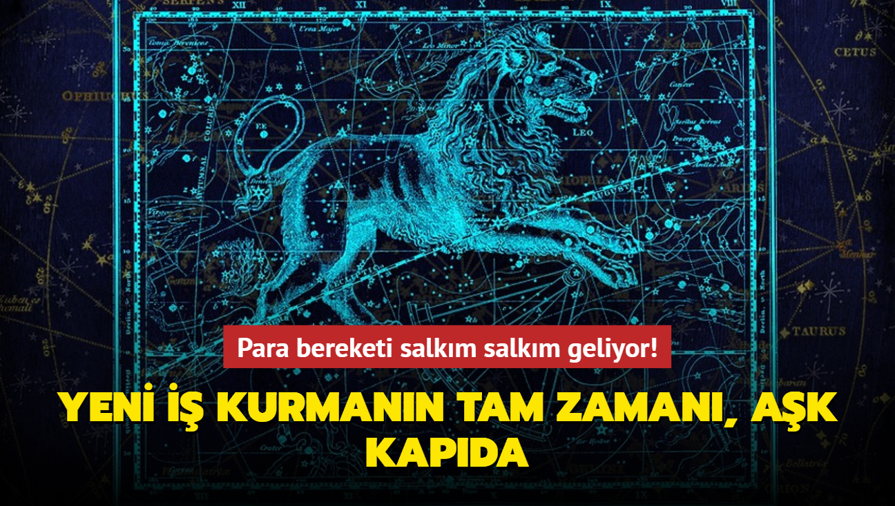 Para bereketi salkm salkm geliyor! Yeni i kurmann tam zaman, ak her an zilinizi alabilir