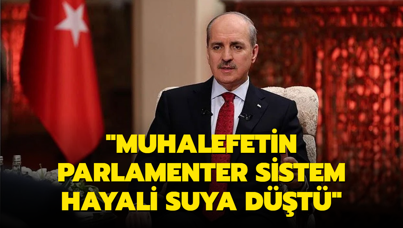 "Muhalefetin parlamenter sistem hayali suya dt"