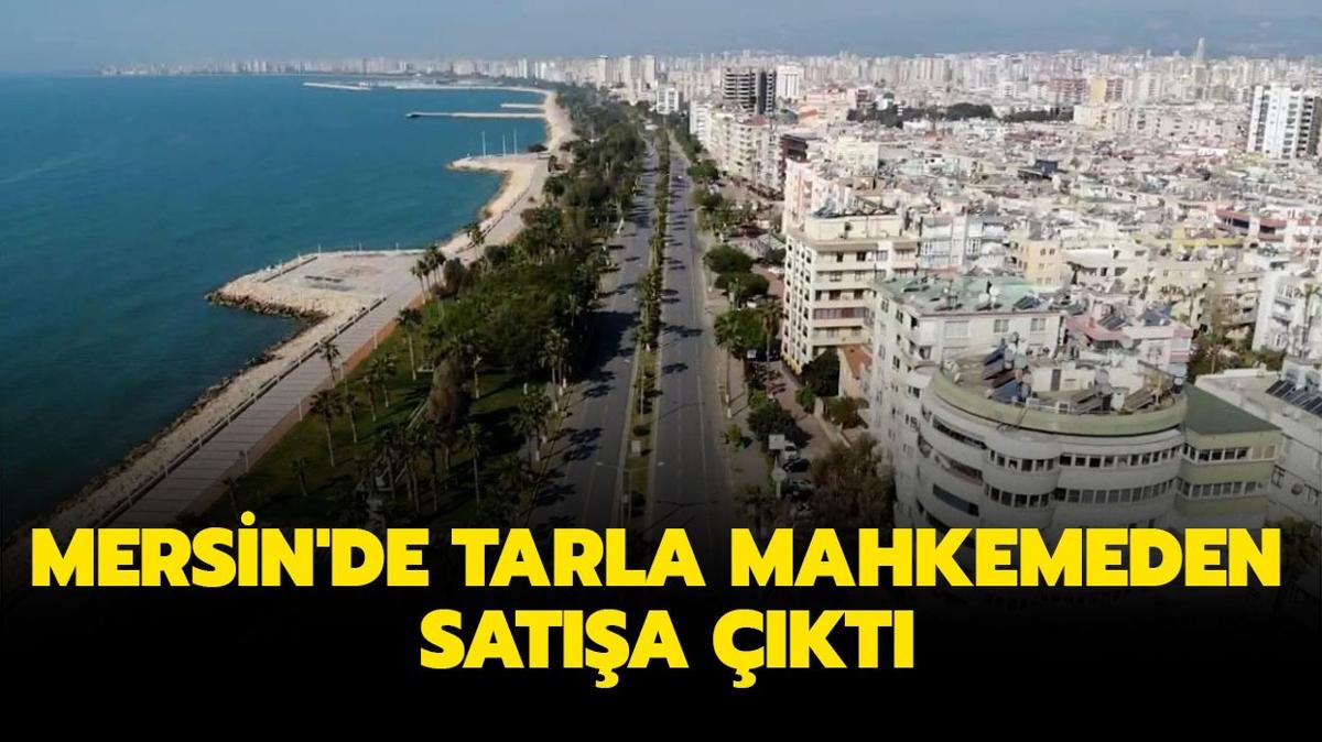 Mersin'de tarla mahkemeden sata sunuldu!