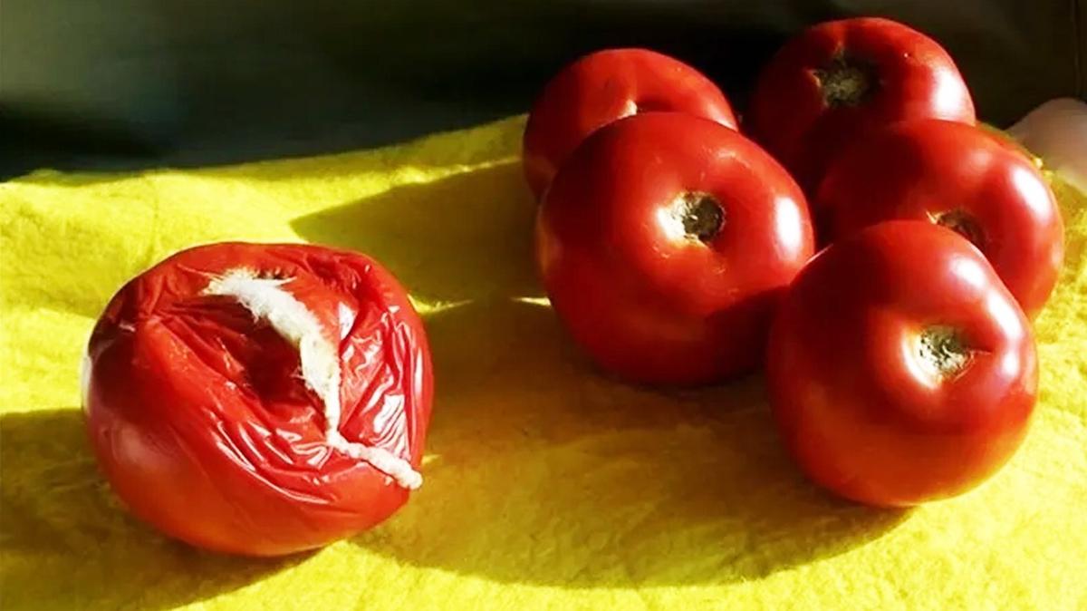 rm domatesleri deerlendirebileceiniz 3 yntem! srafn nne geebilirsiniz