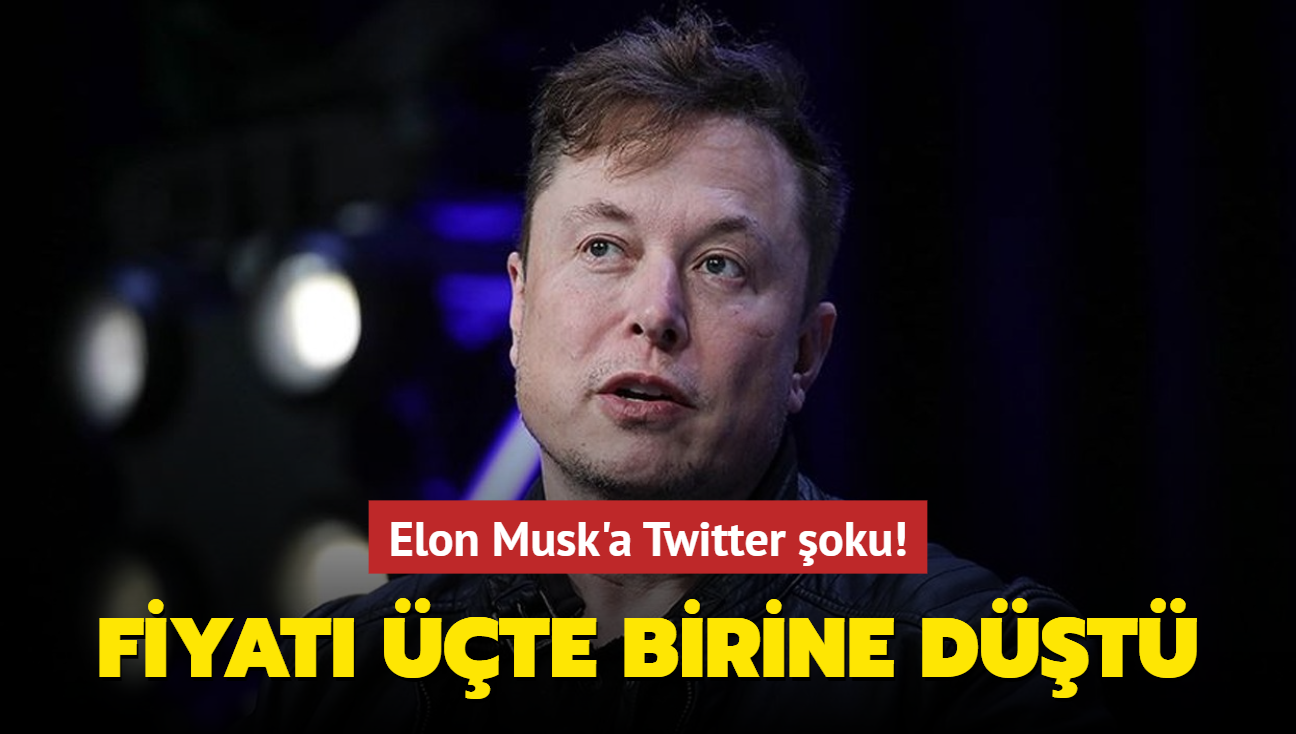 Elon Musk'a Twitter oku! Fiyat te birine dt