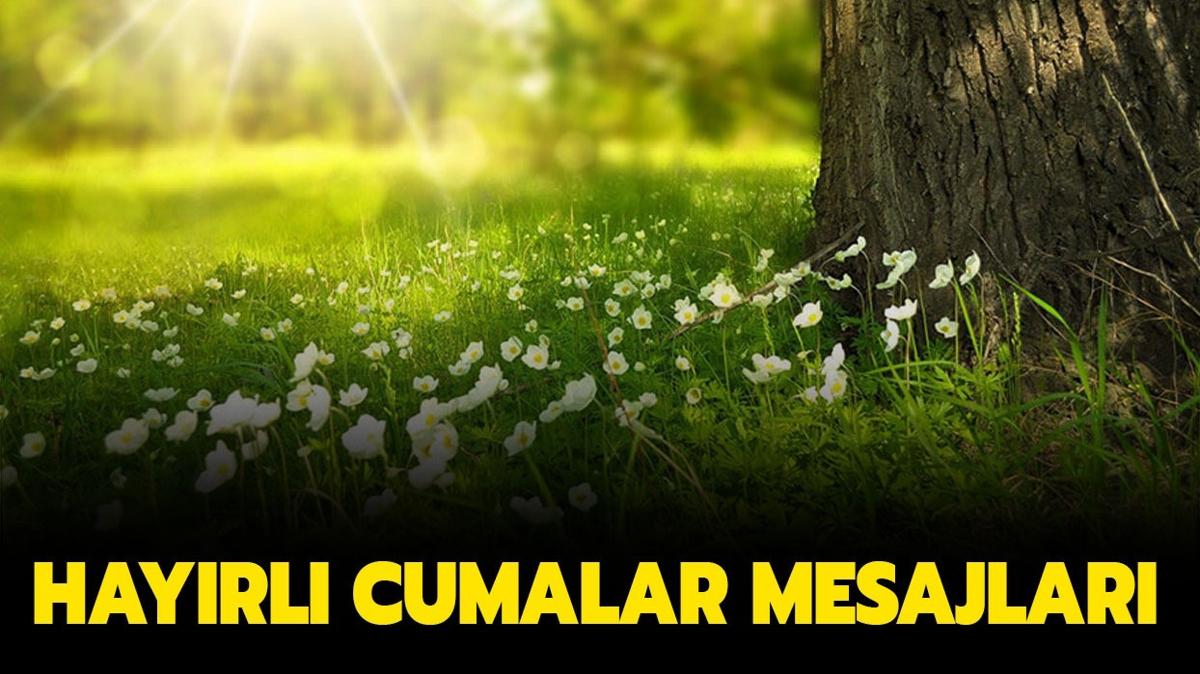 iekli, yaz temal, resimli, dual, ayetli, hadisli cuma mesajlar: Cuma mesajlar 1 Haziran 2023!