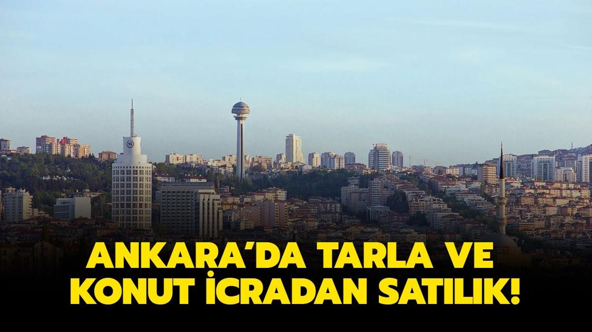 Ankara Haymana'da tarla ve konut icradan satlk!