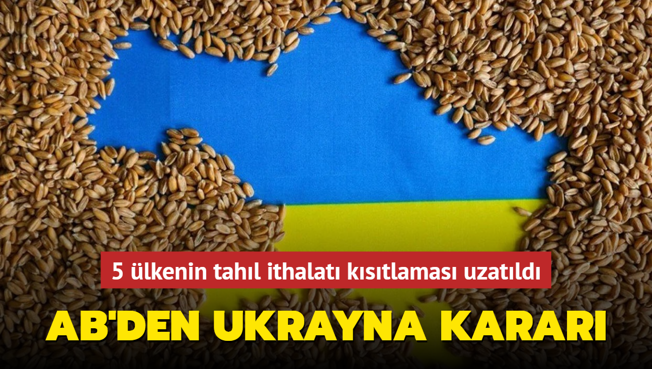 AB'den Ukrayna karar... 5 lkenin tahl ithalat kstlamas uzatld