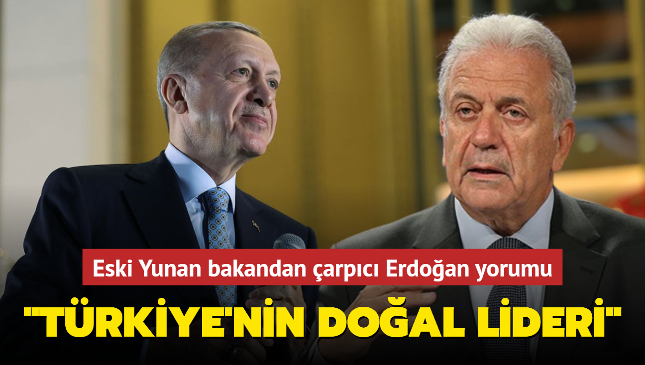 Eski Yunan bakandan çarpıcı Erdoğan yorumu Türkiye'nin doğal lideri
