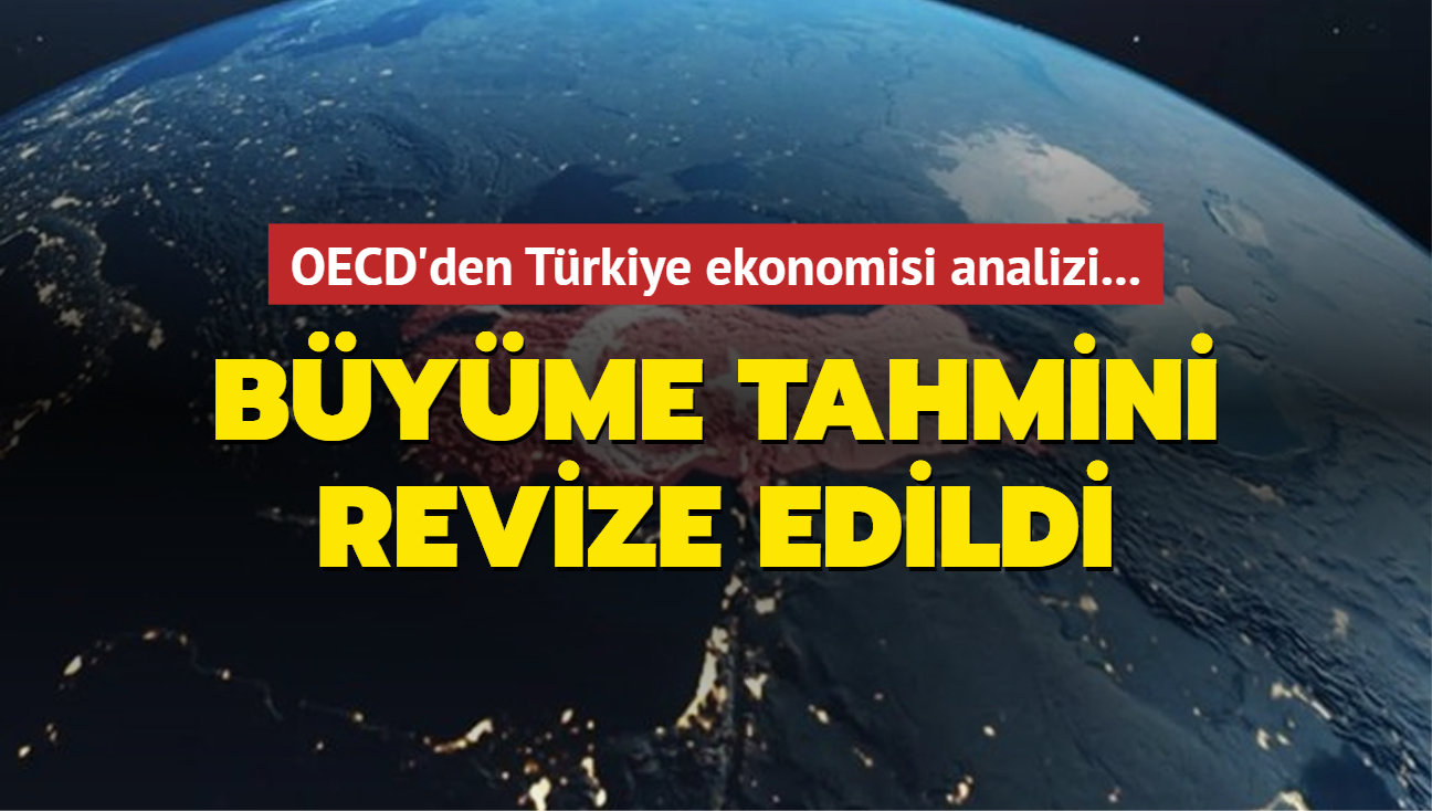 OECD'den Trkiye ekonomisi analizi... Byme tahmini revize edildi
