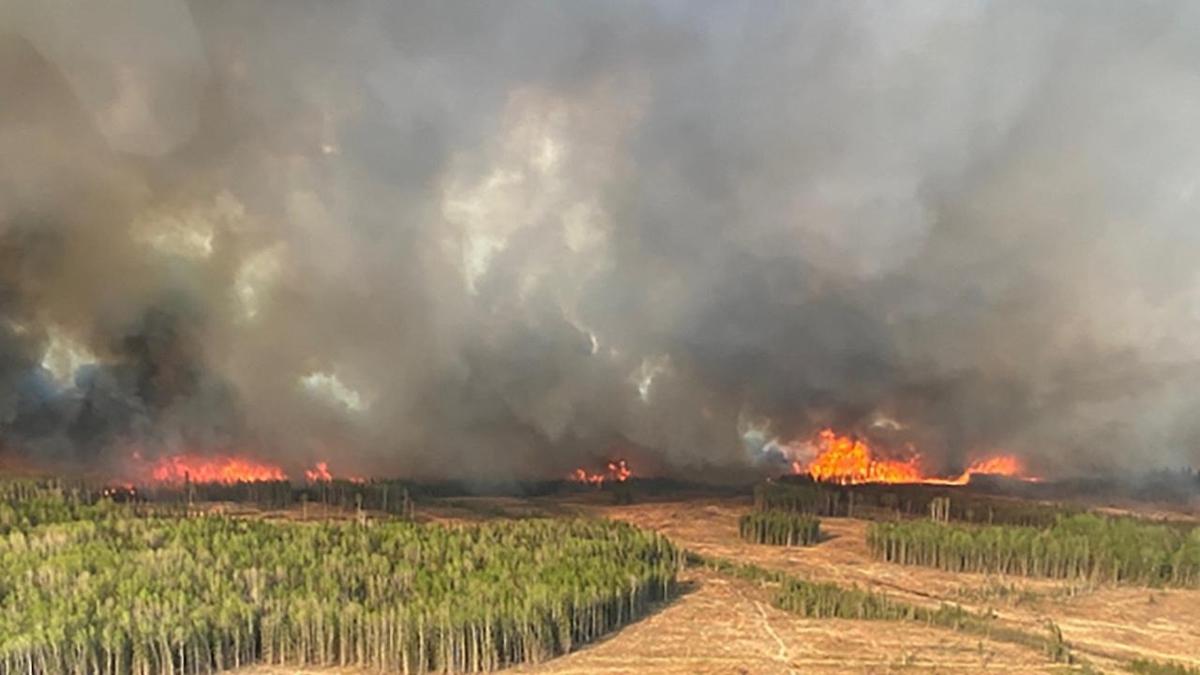 Kanada'daki orman yangnlar ABD'ye srad