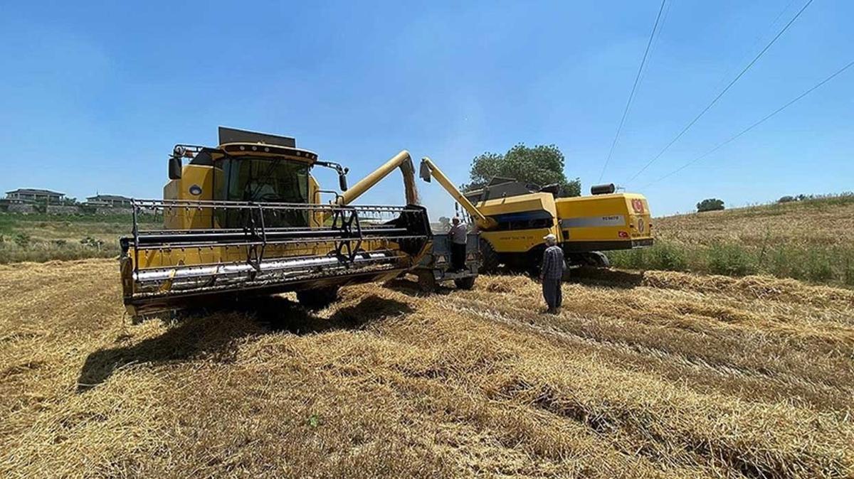 Buday ve arpa fiyatlar ukurova'daki iftilerin beklentisini karlad