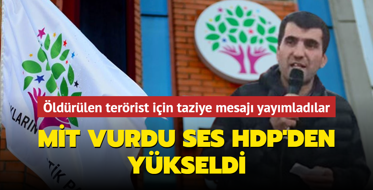 MT vurdu ses HDP'den ykseldi... ldrlen terrist iin taziye mesaj yaymladlar