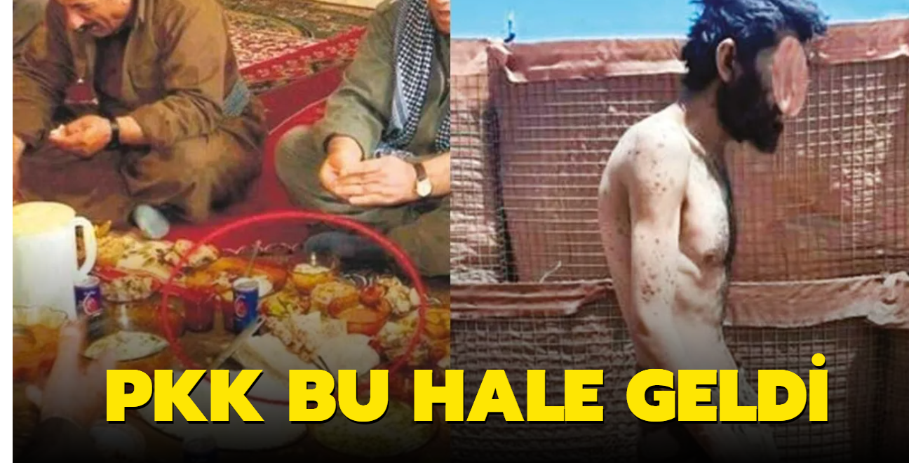 PKK bu hale geldi