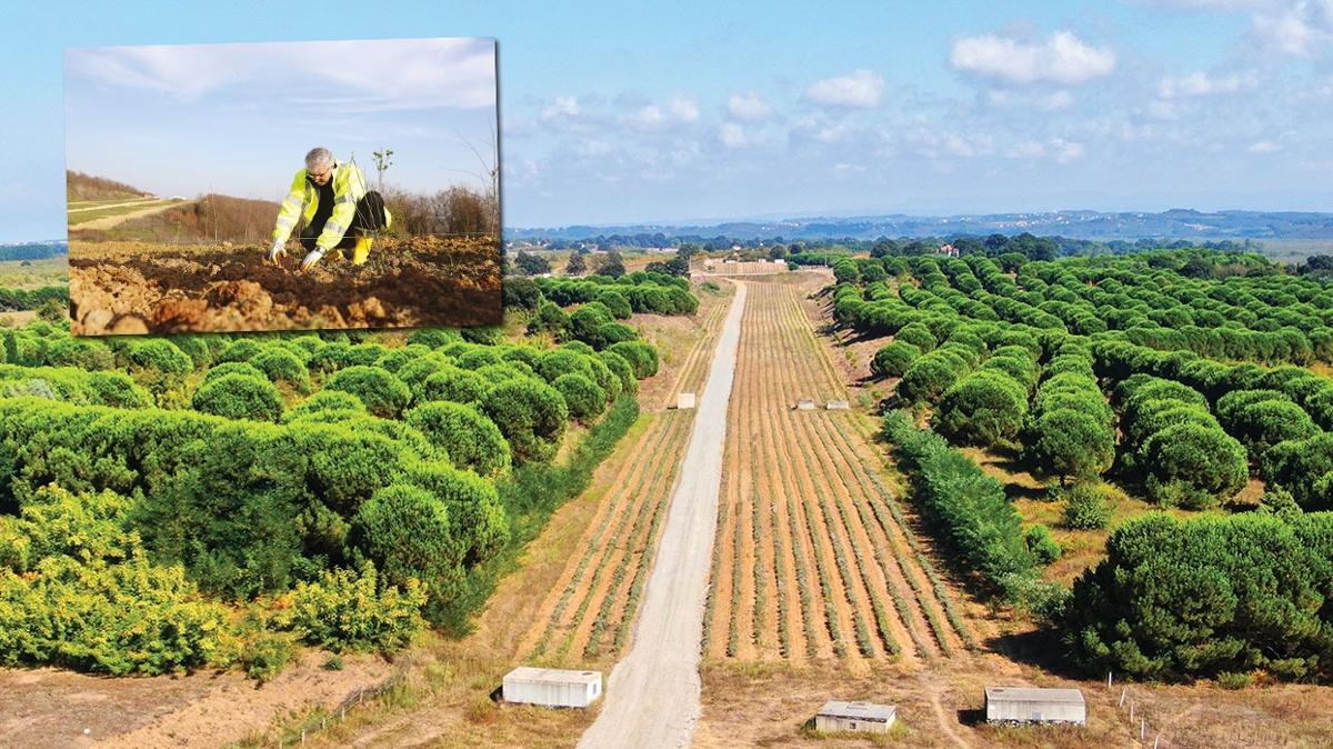 Sakarya Byk ehir Belediyesi dnyada aromatik bitkinin merkez ss olacak! En gzel rnler bu vadide yetiecek