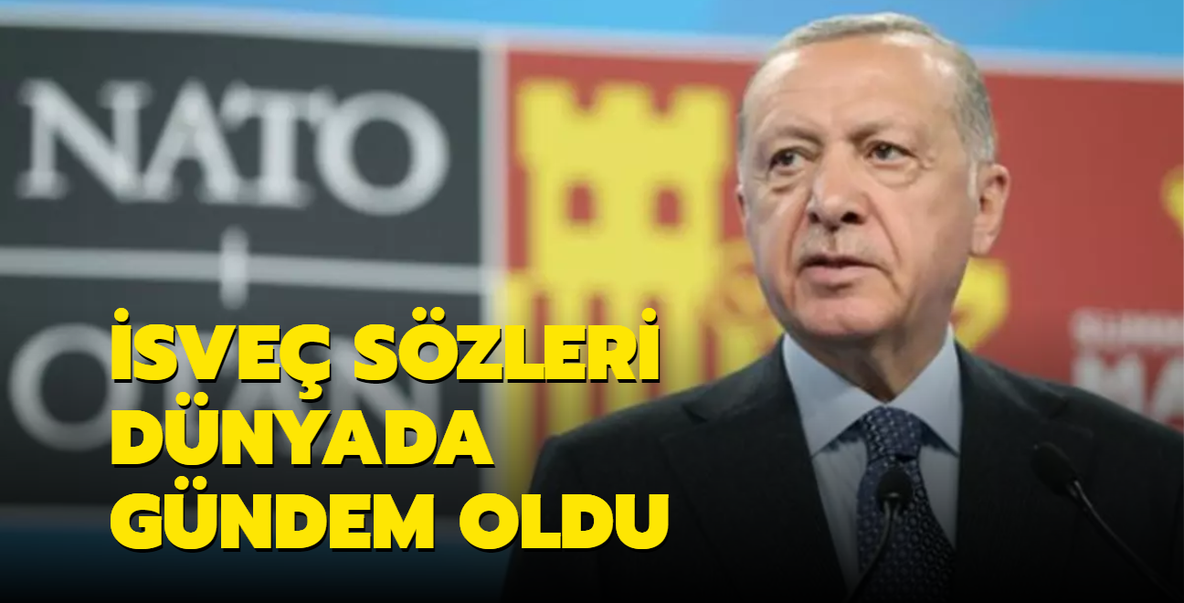 Bakan Erdoan'n sve szleri dnyada gndem oldu