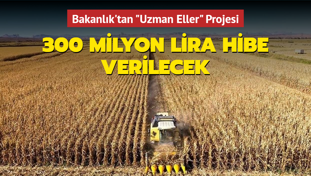 Bakanlk'tan "Uzman Eller" Projesi... 300 milyon lira hibe verilecek