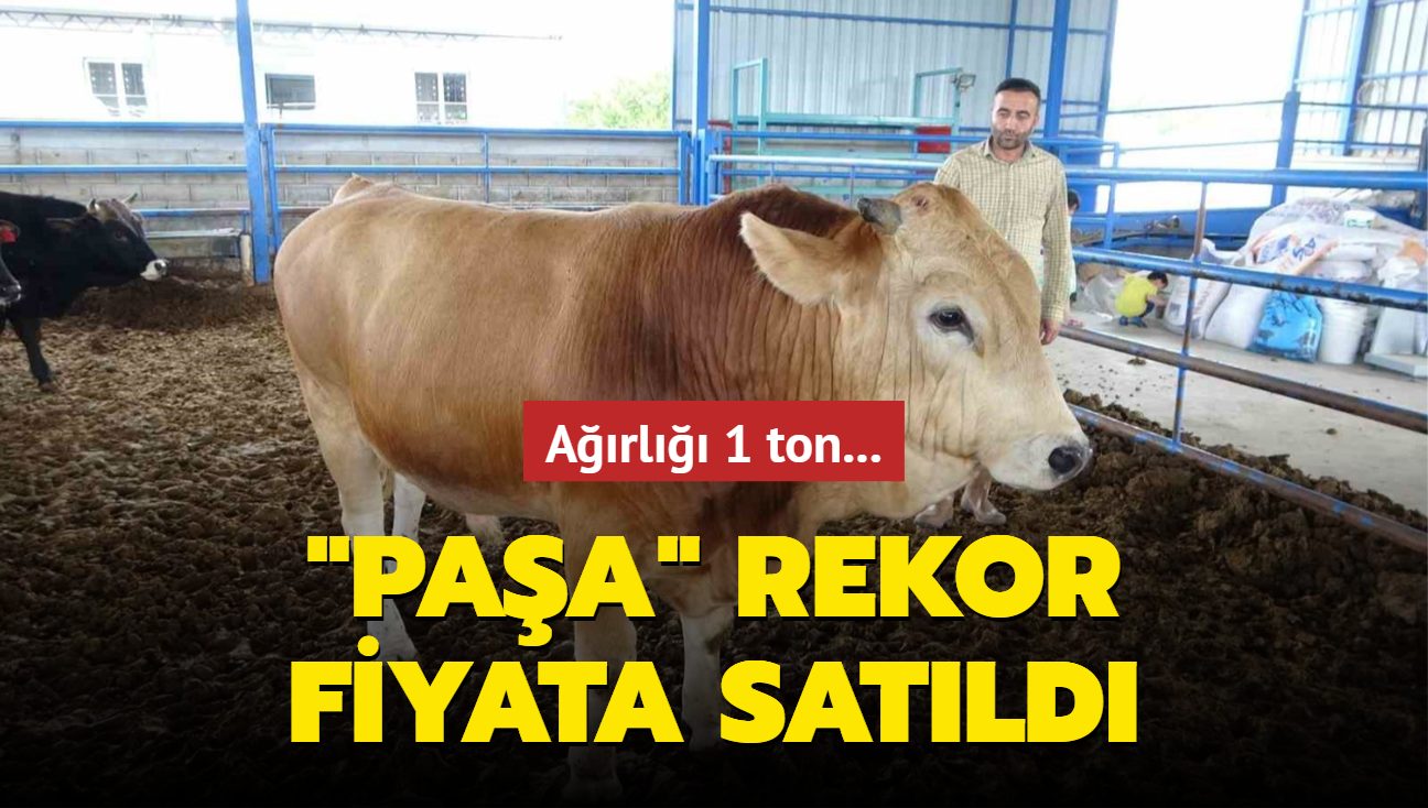 1 tonluk "Paa" rekor fiyata satld