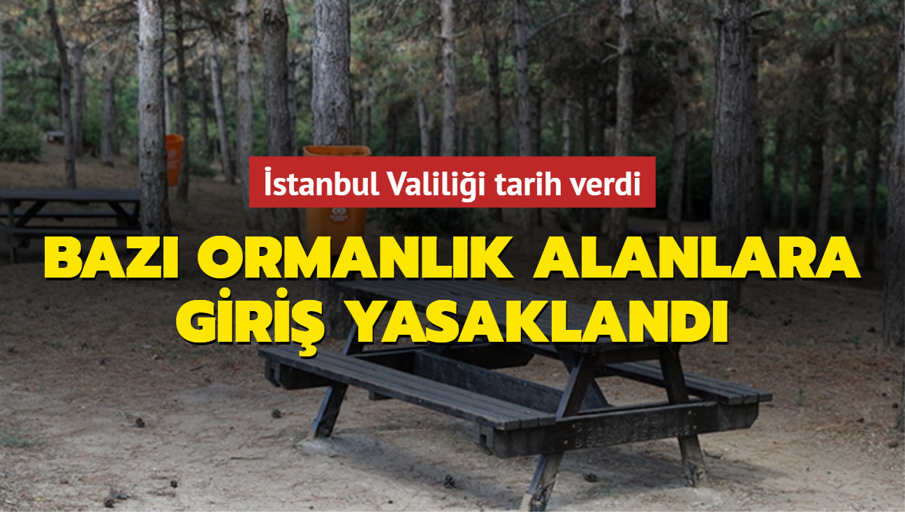 stanbul Valilii duyurdu! Baz ormanlk alanlara giri yasakland