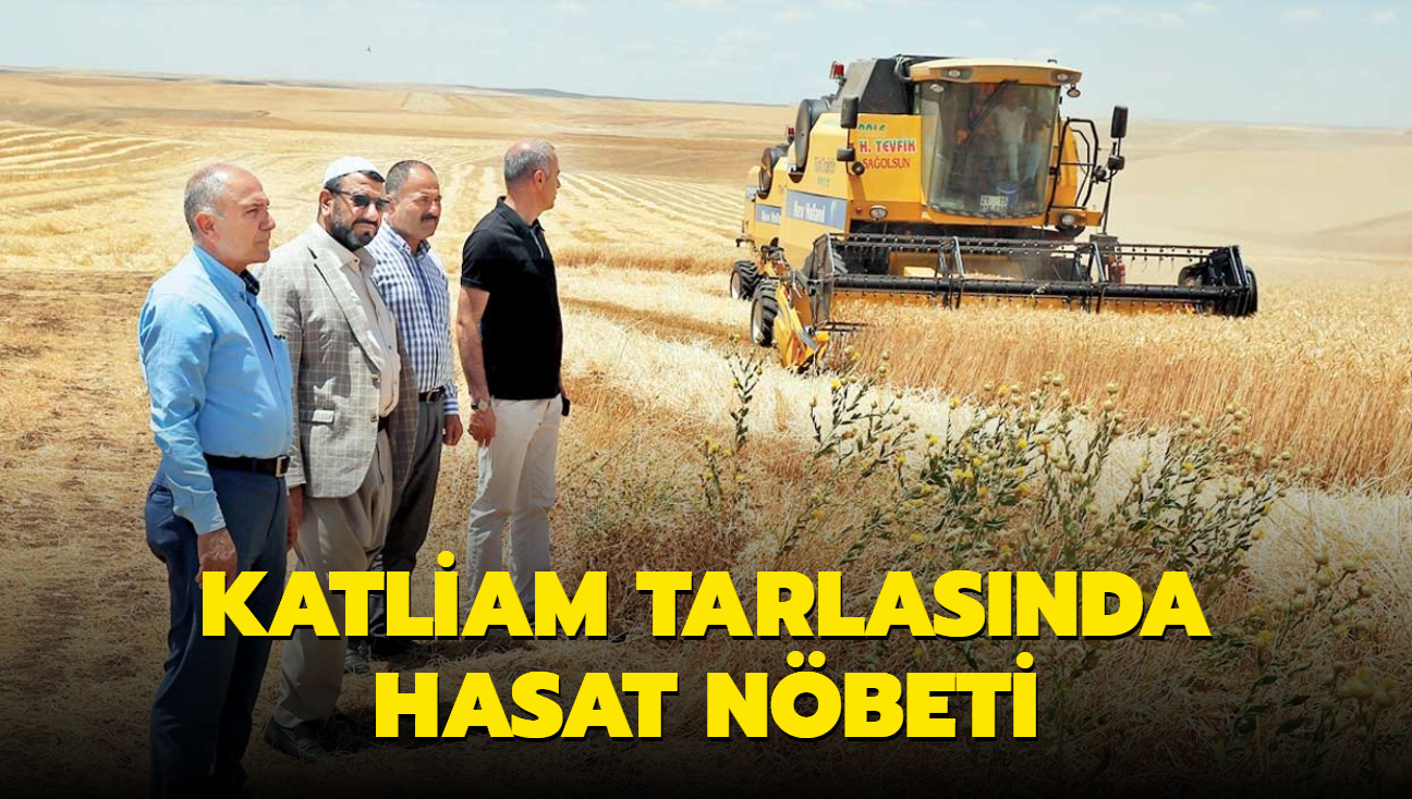 Katliam tarlasnda hasat nbeti