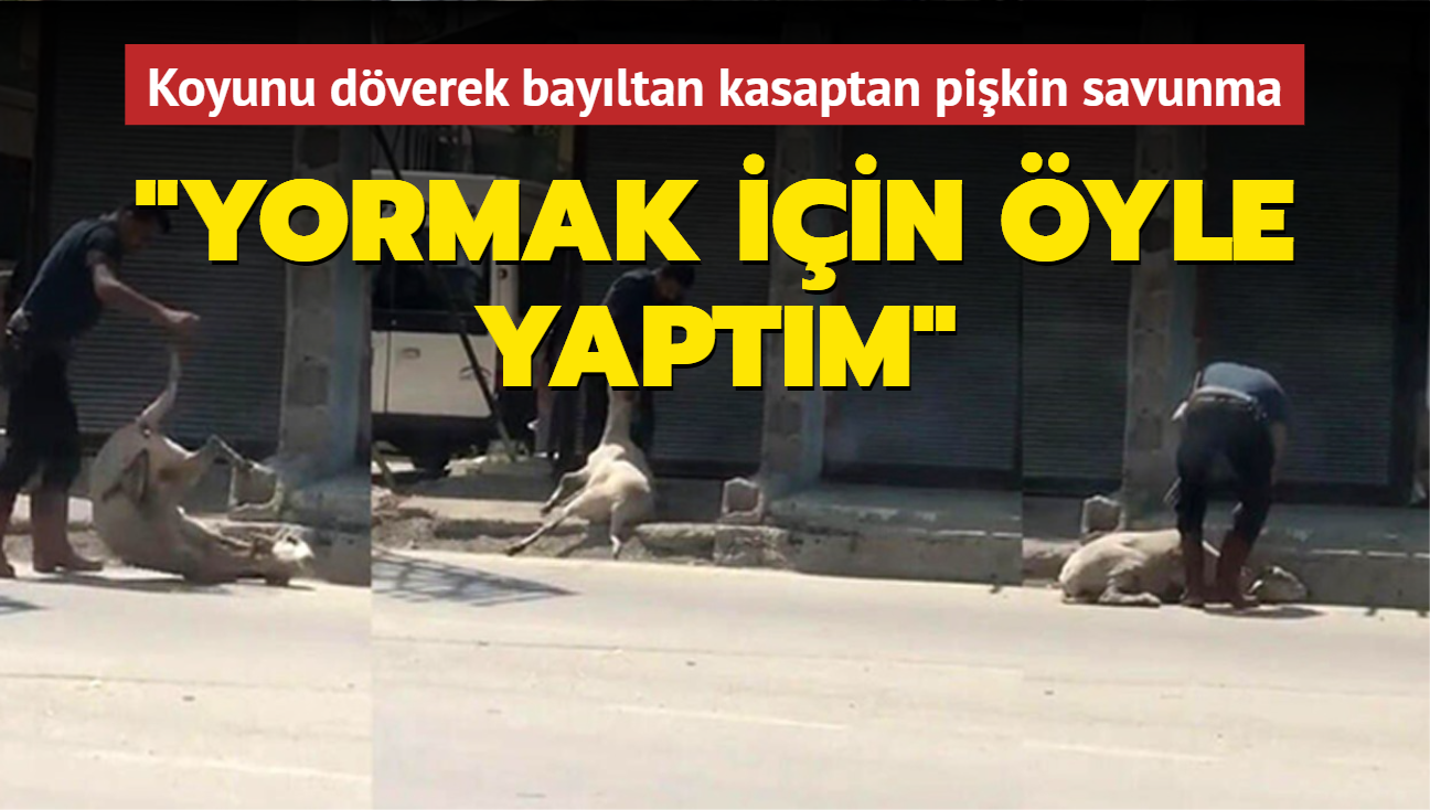 Adana'daki grntler dehete drmt... Koyunu dverek bayltan kasaptan pikin savunma!