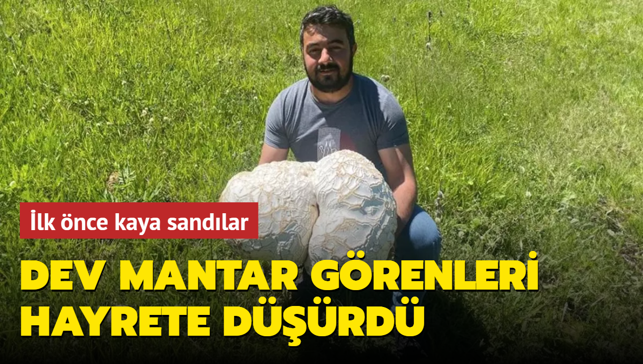 lk nce kaya sandlar... Dev mantar grenleri hayrete drd