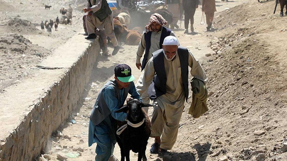Afganistan'da kurban satlar kuraklk ve ekonomik durgunluk glgesinde geiyor