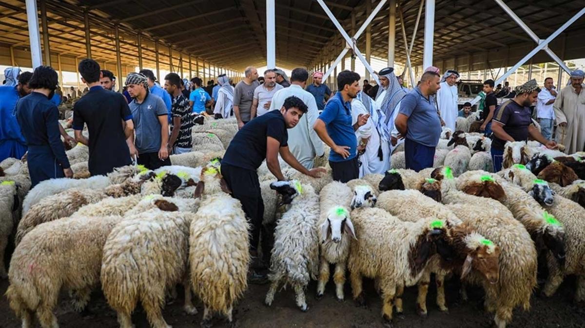 Irak'ta kurban pazarlarnda hareketlilik yaanyor