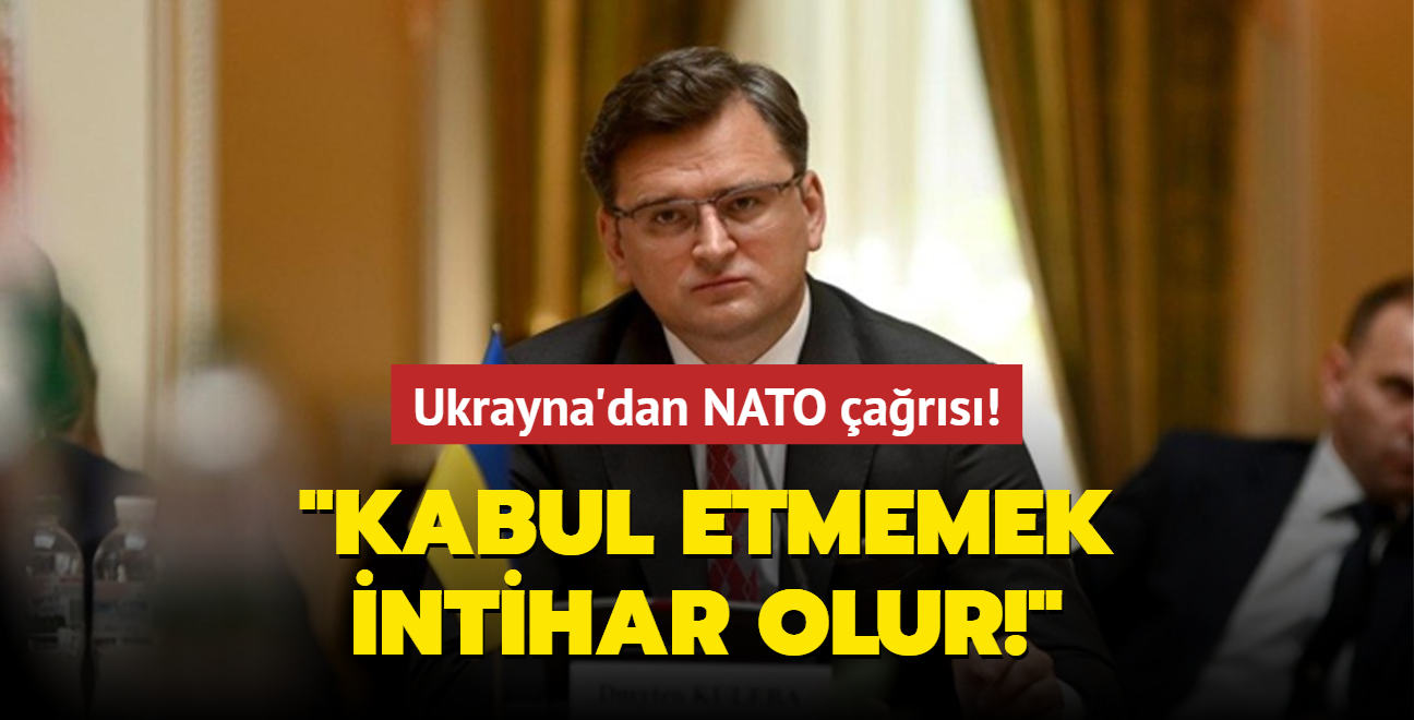 Ukrayna Dileri Bakan Kuleba, NATO yelii iin destek istedi