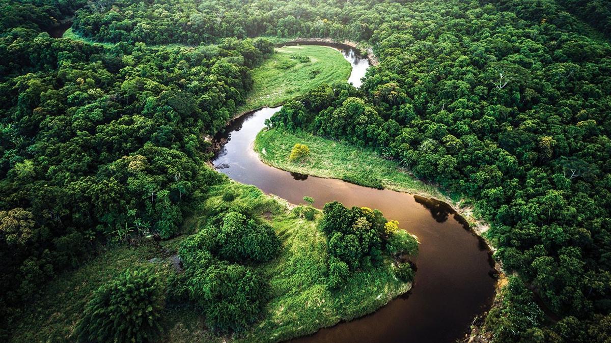 Amazon ormanlarna Leonardo DiCaprio ve Jeff Bezos'tan 200 milyon dolarlk yatrm