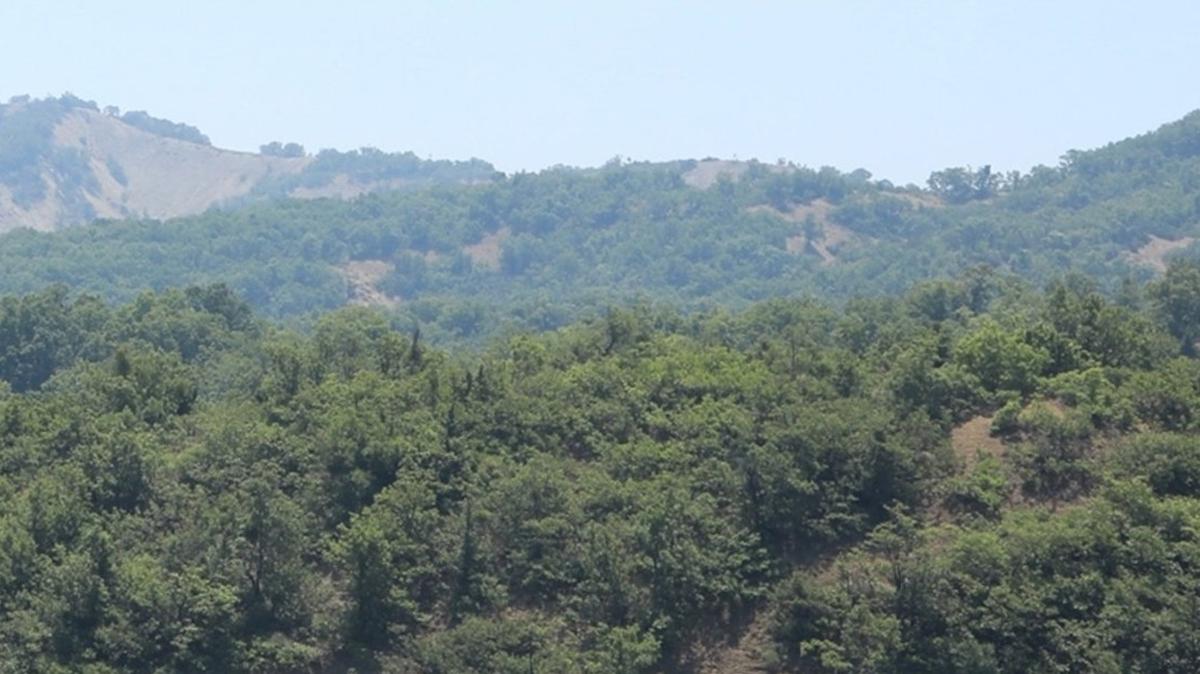 Ankara'da ormanlk alanlara giriler yasakland