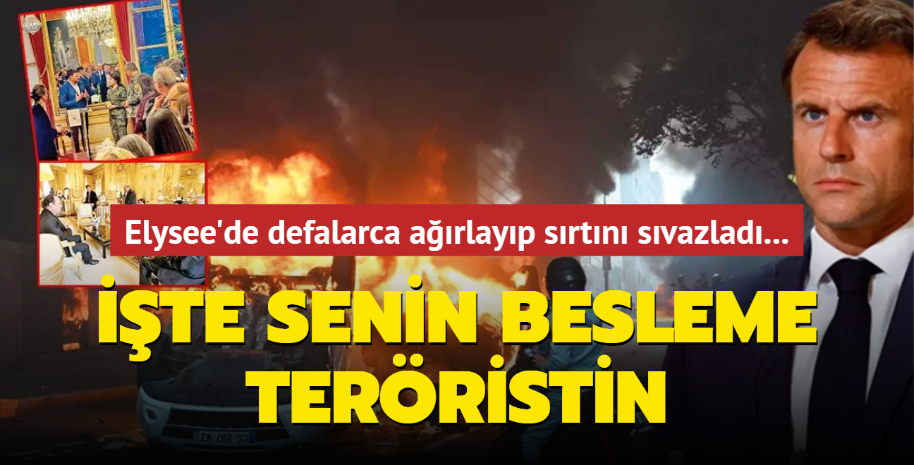 te senin besleme terristin