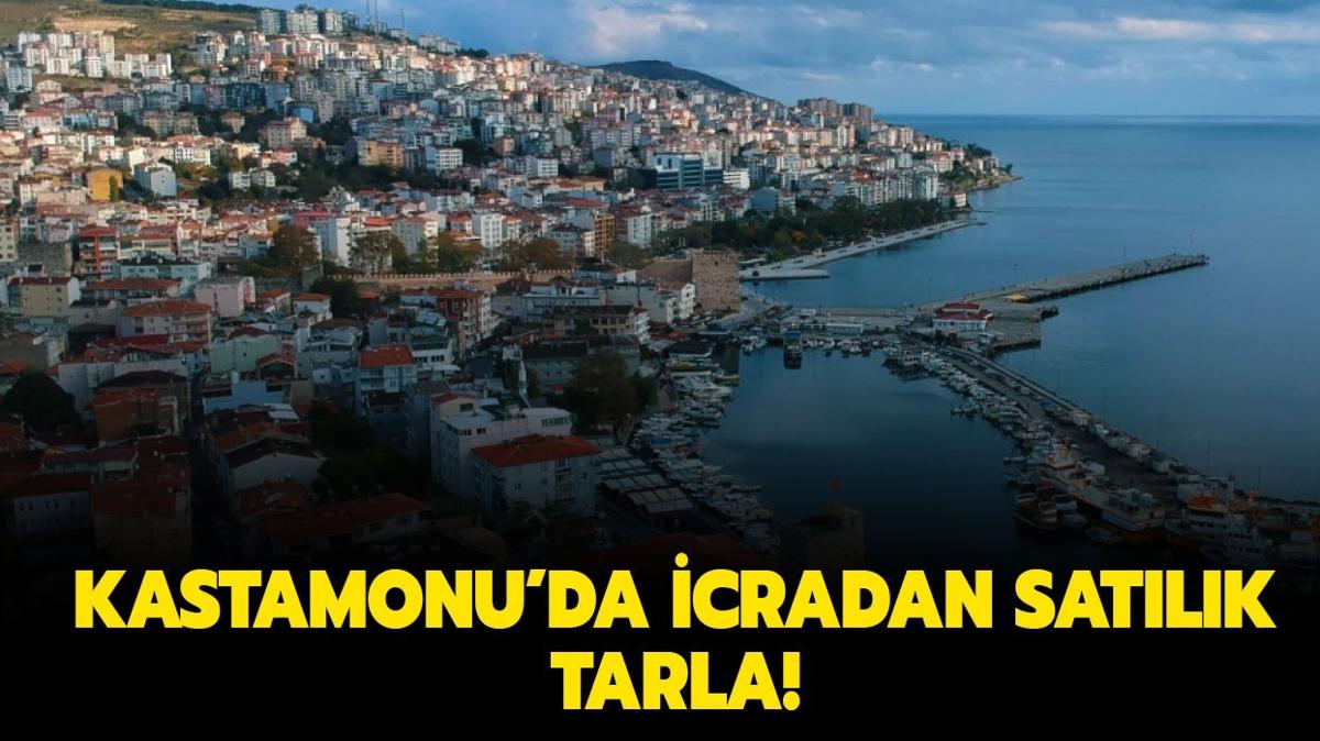 Kastamonu'da 2 milyon TL'ye icradan tarla!