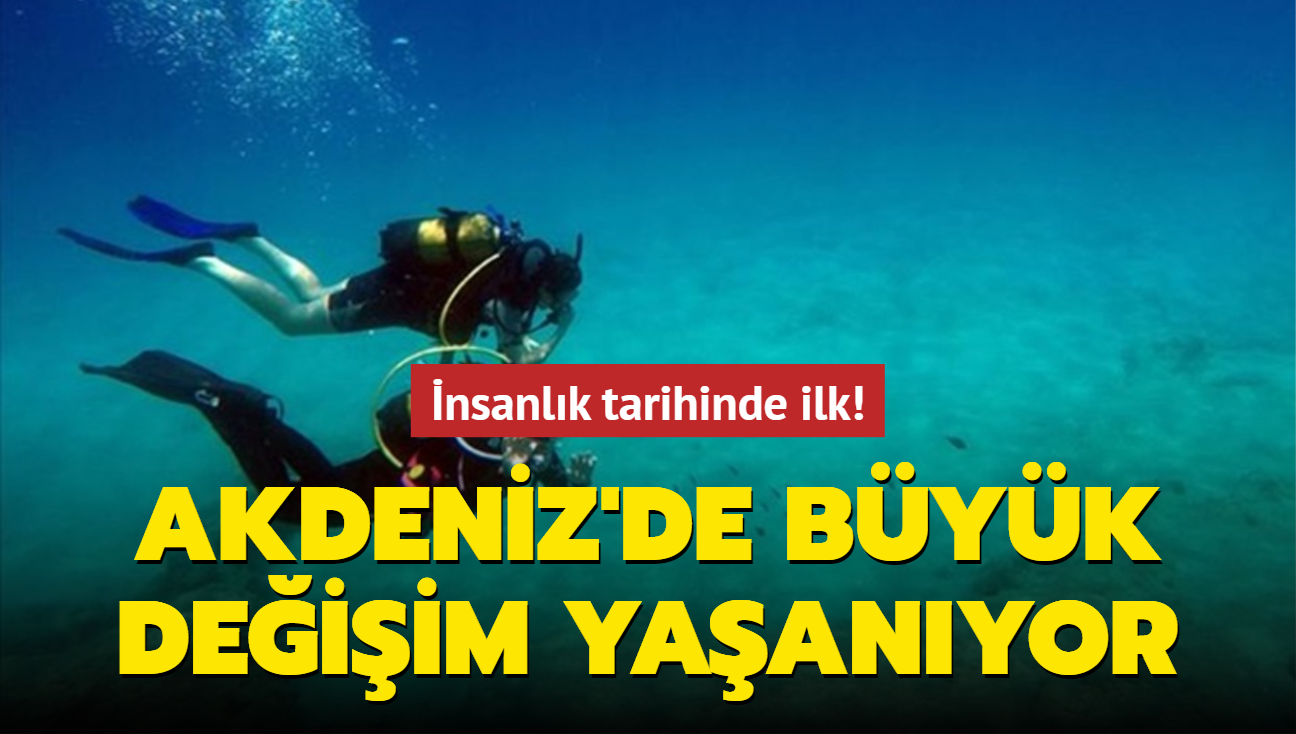 nsanlk tarihinde ilk! Akdeniz'de byk deiim yaanyor