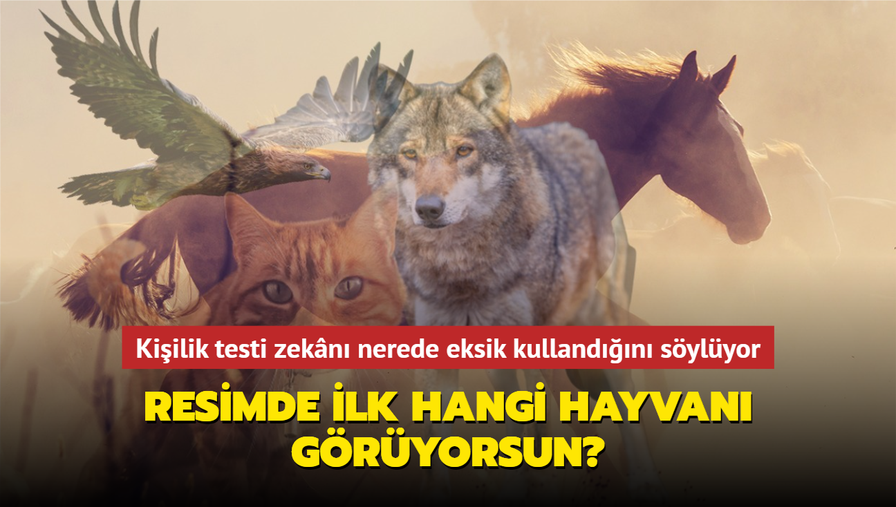 Resimde ilk hangi hayvan gryorsun" Kiilik testi zekanla ilgili eksik ynn sylyor