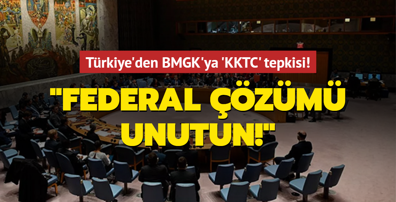 Dileri'nden BM Gvenlik Konseyi'ne 'KKTC' tepkisi!