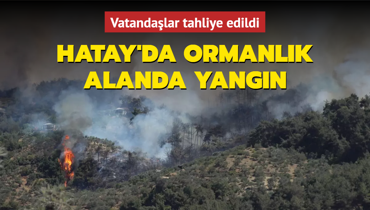 Hatay'da ormanlk alanda yangn: Vatandalar tahliye edildi