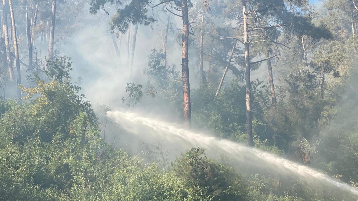 Hatay'da dn kan orman yangnna mdahale sryor