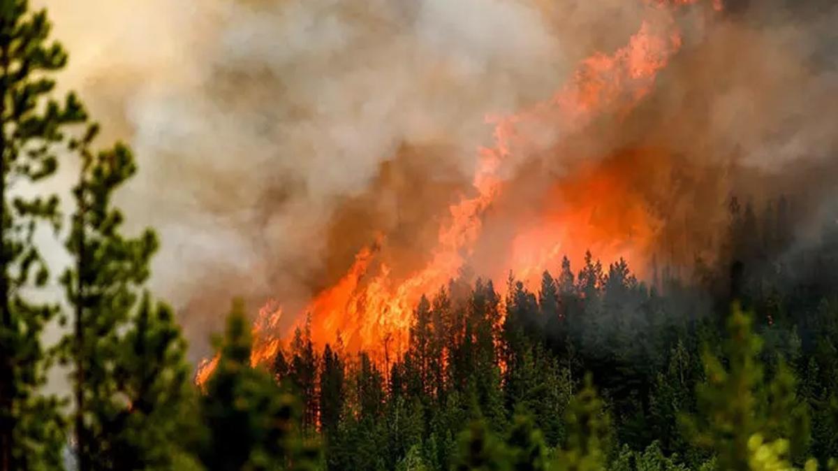 Kanada'da orman yangnlar kontrol altna alnamyor