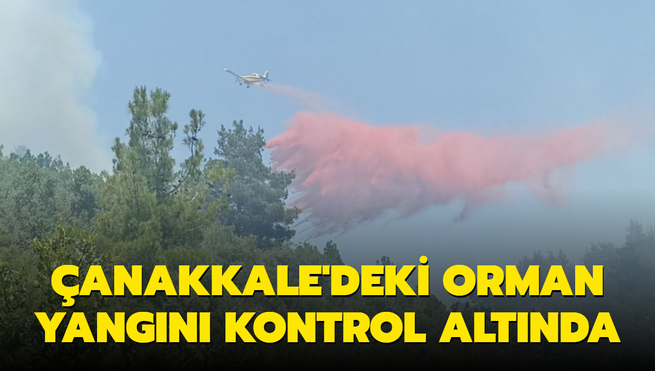 anakkale'deki orman yangn kontrol altnda