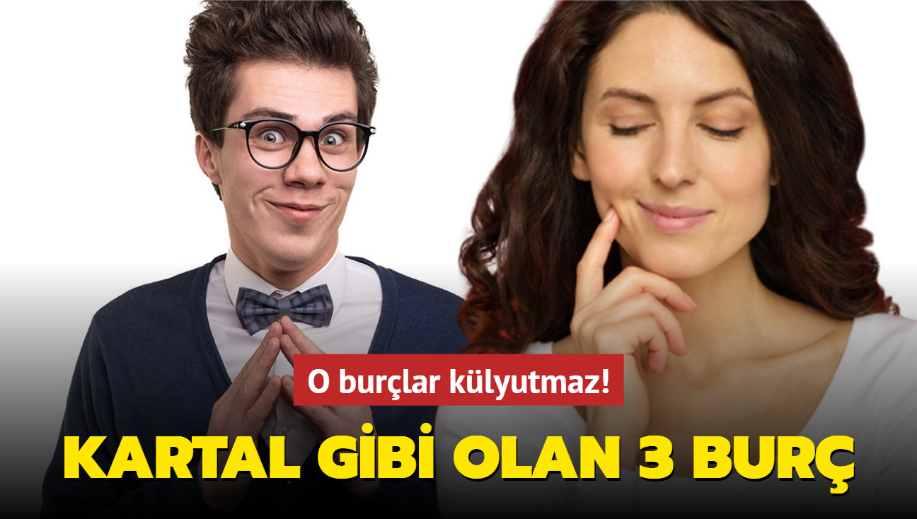 En kurnaz 3 bur! Onlar her eyi maniple edebilir ve sizi kandrabilir