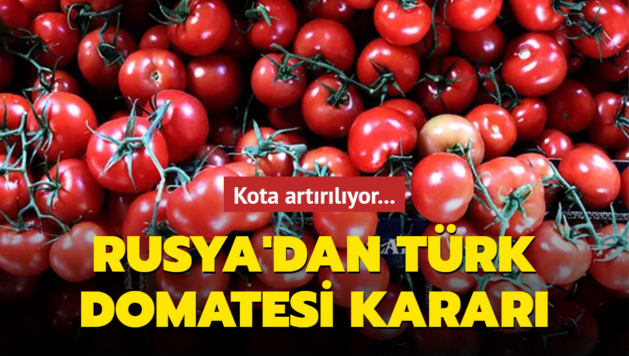 Rusya Trkiye'den ithal ettii domatesin kotasn artrd