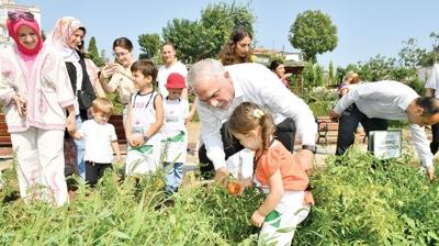 Yedikule ve Ayvansaray bahelerinde yaz atlyeleri