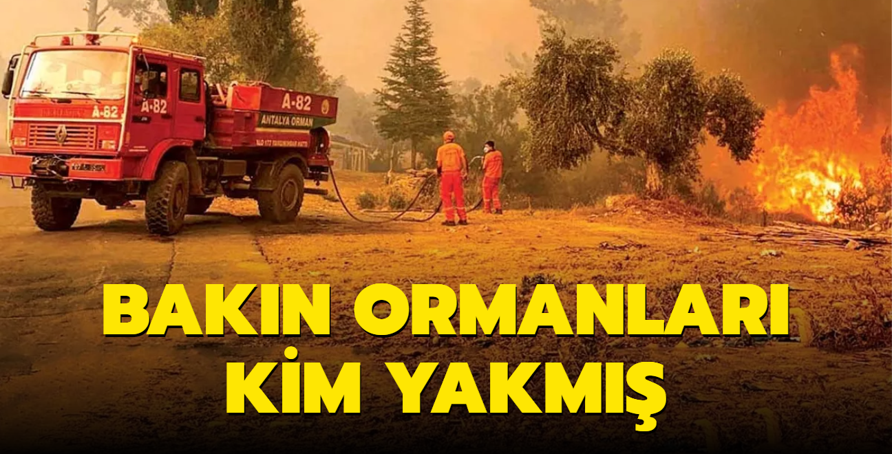 Bakn ormanlar kim yakm