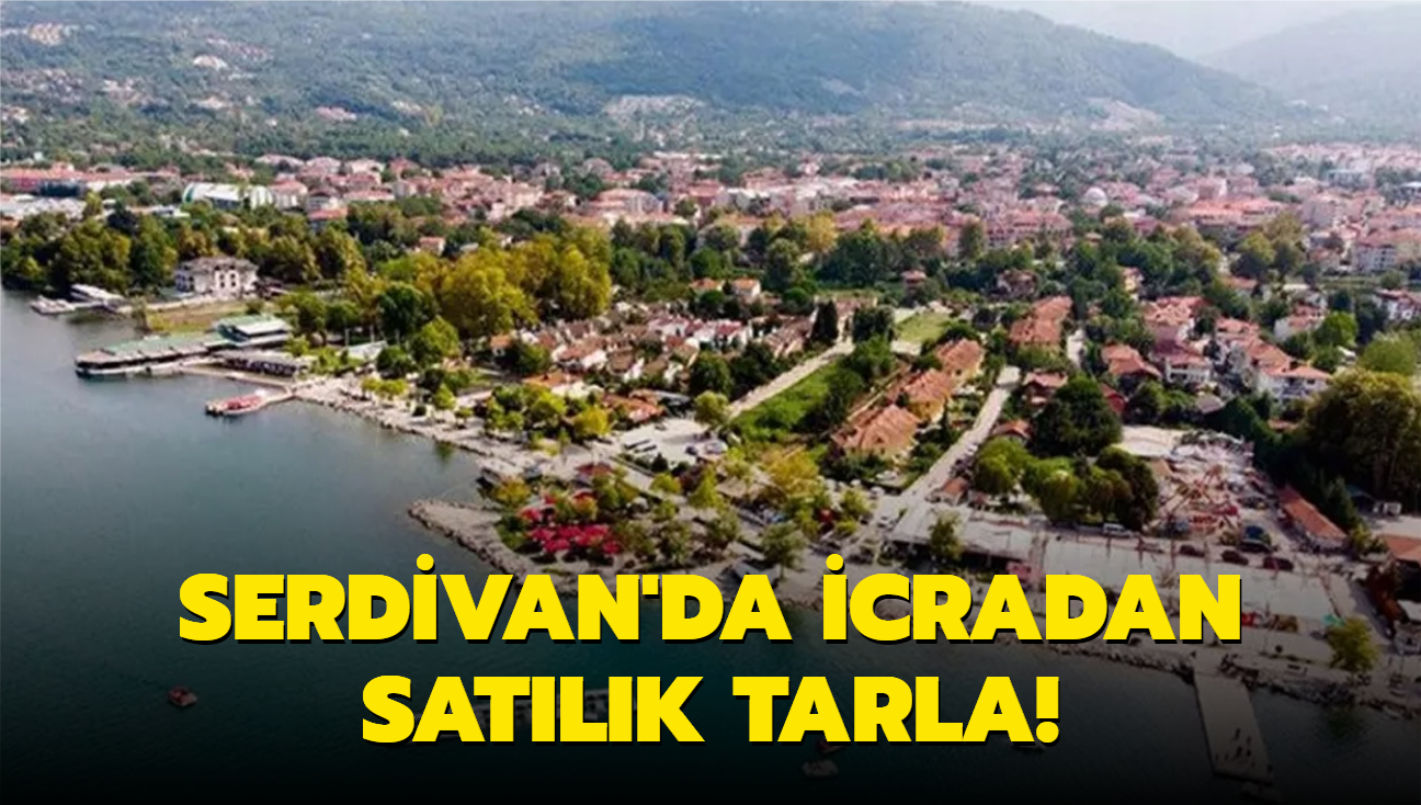 Sakarya Serdivan'da 7.100 milyon TL'ye icradan satlk tarla!