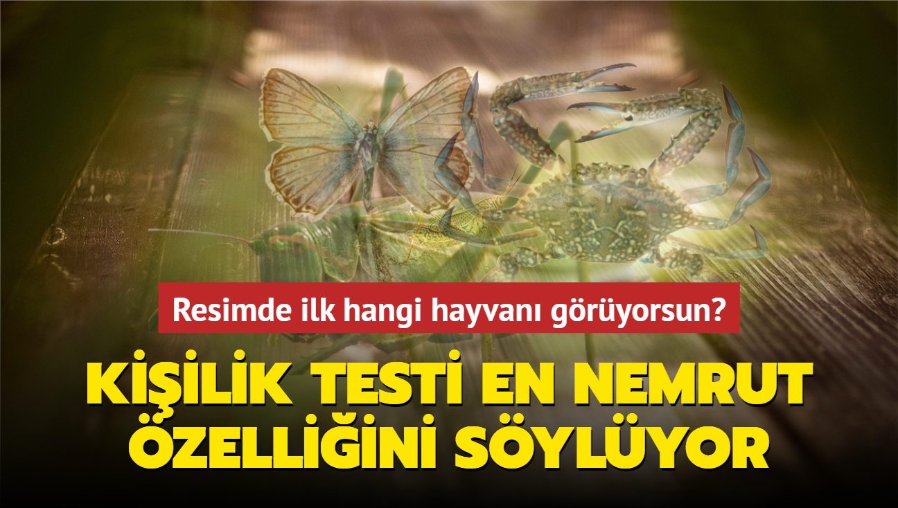 Resimde ilk hangi hayvan gryorsun" Kiilik testi en acmasz zelliini sylyor