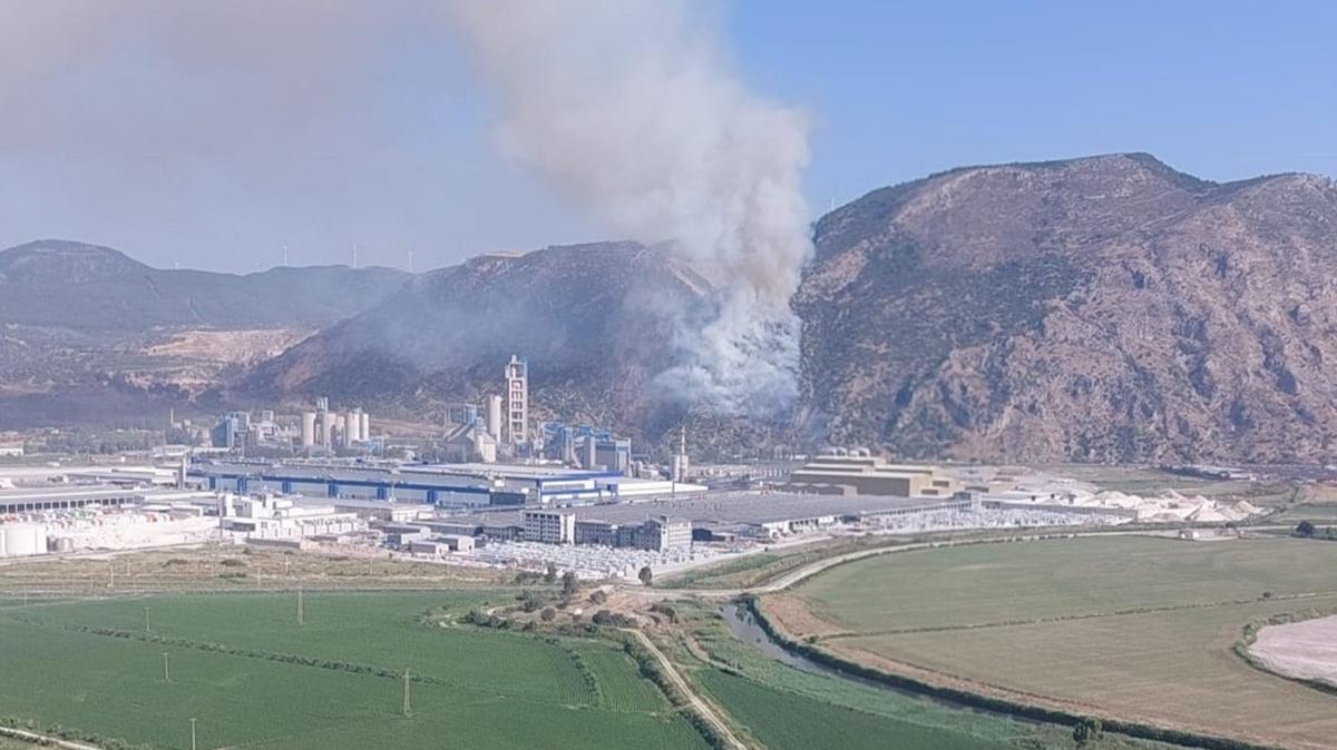 Aydn'da kan orman yangn kontrol altnda