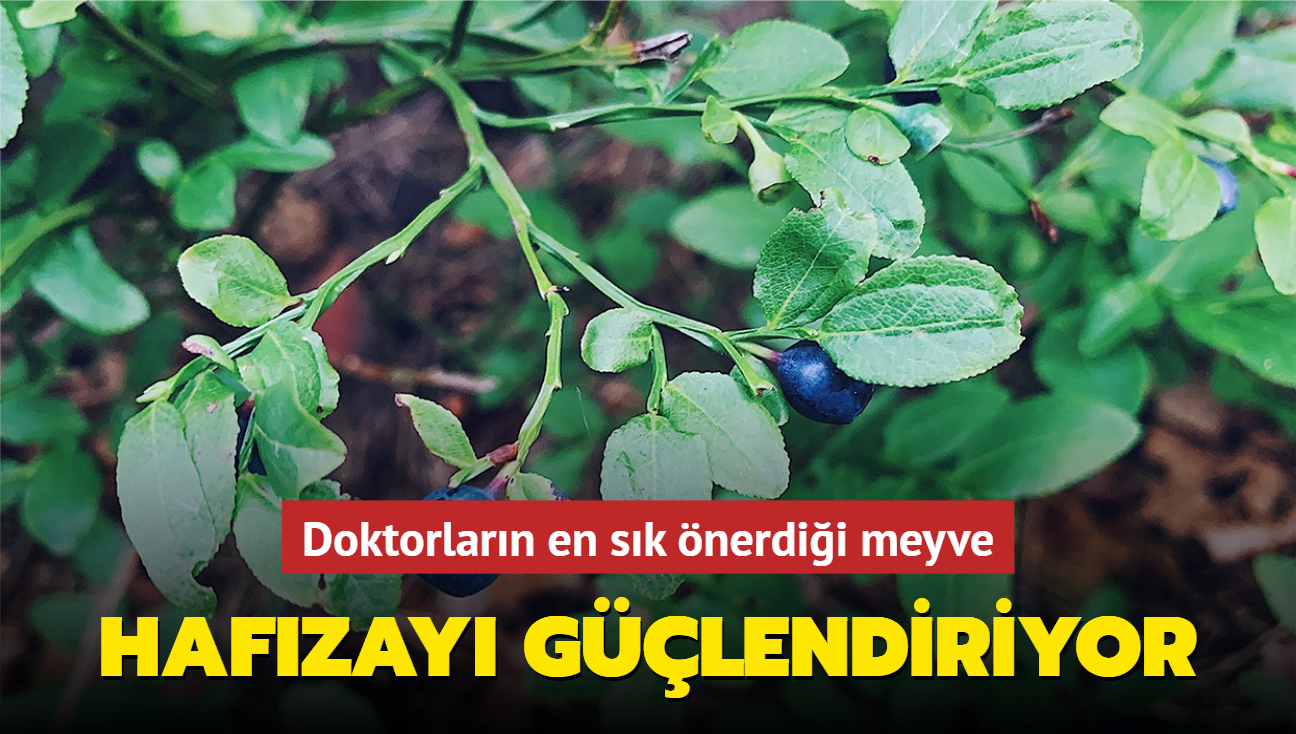 Hafzay glendiriyor! Yalanmaya kar doktorlar bu meyveyi neriyor